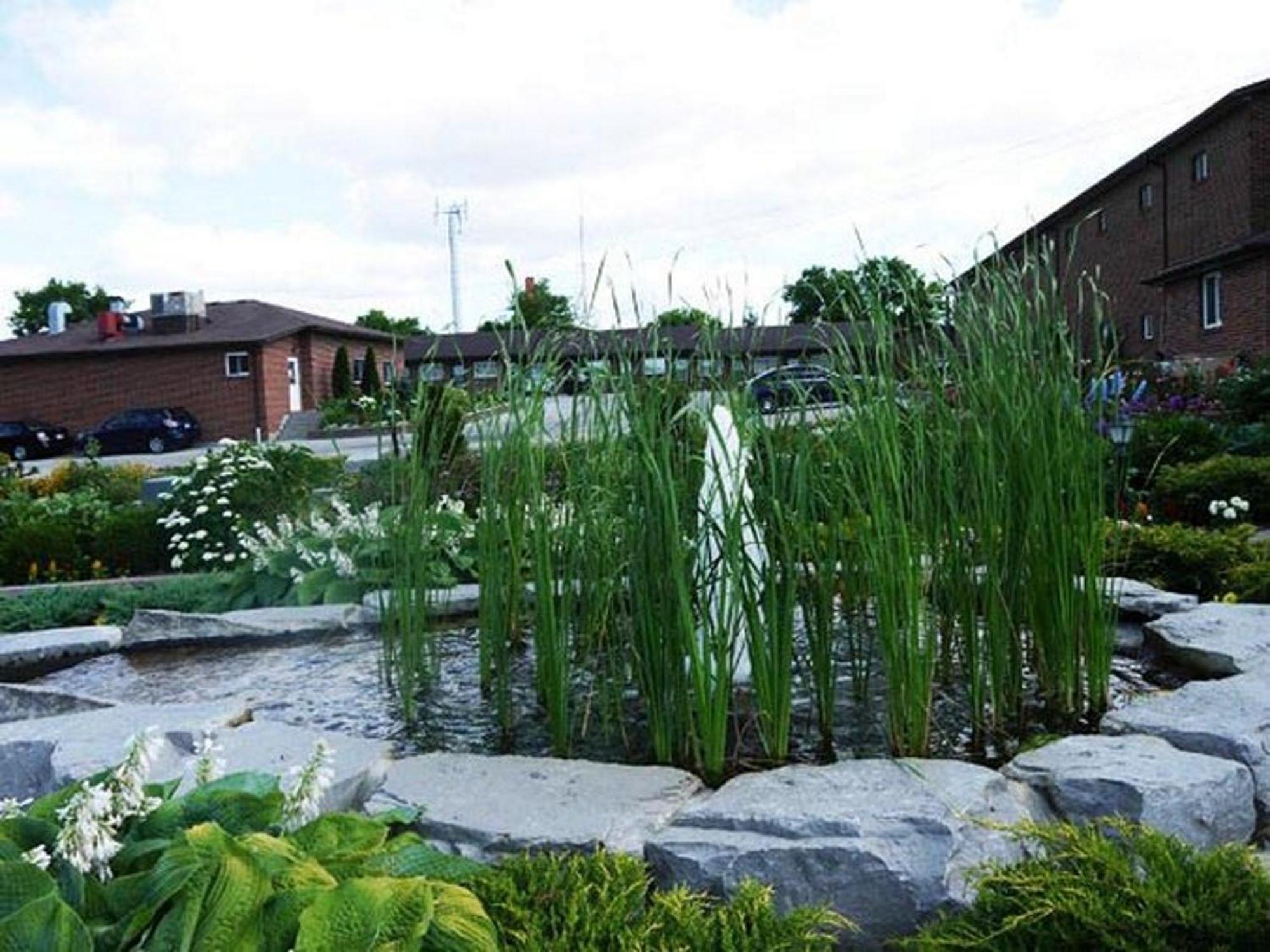 Newmarket Inn Zewnętrze zdjęcie
